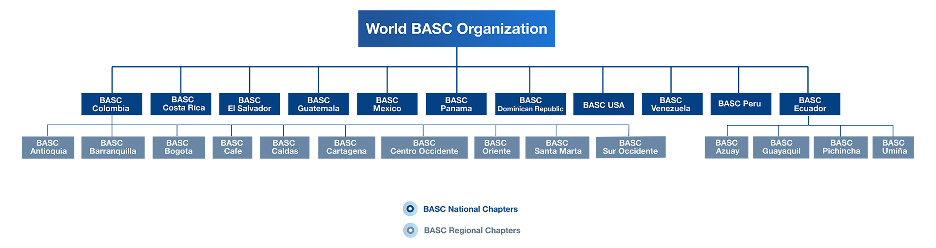 World BASC Organization