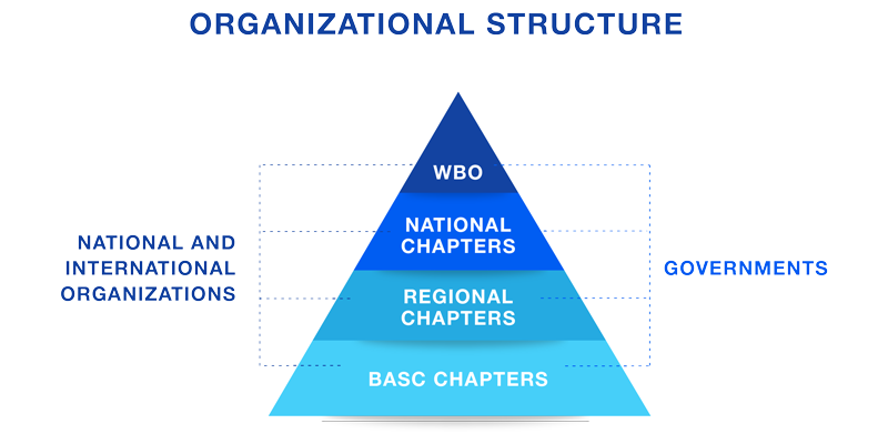 Organizational Structure