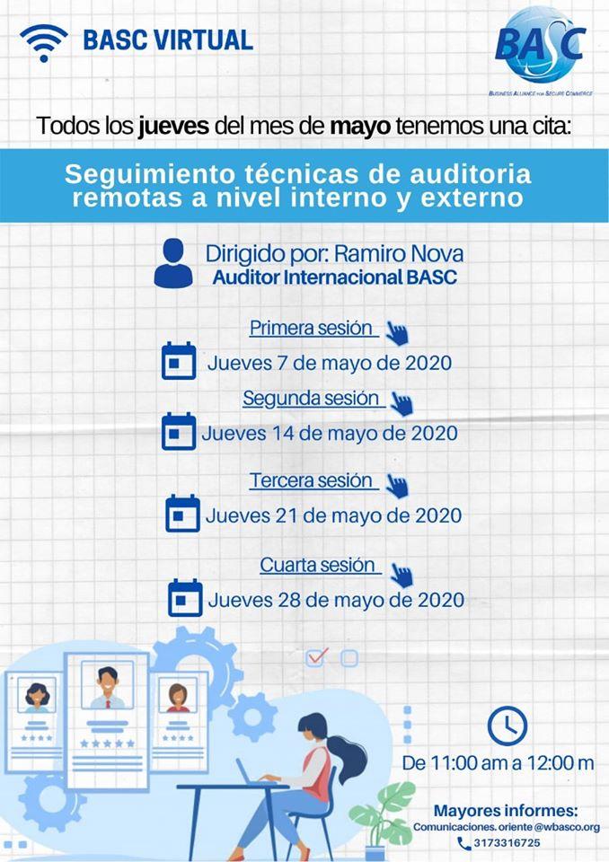 Seguimiento Técnicas de Auditorías Remotas a Nivel Interno y  Externo