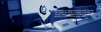 World Basc Organization